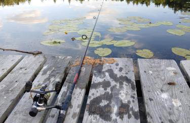 Leśny Reset - Foto 42