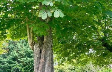 Stunning Boutique gîte Flore at Vive le Vert - Foto 31