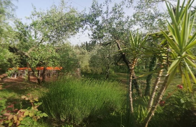 Agriturismo Crocino in Chianti - Foto 48