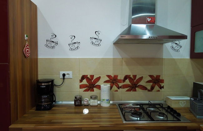 Provvidenza - Foto 24