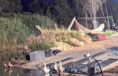 Chalet sul Trasimeno - Photo 17