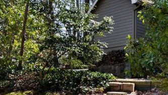 The Forest Door - Studio Suite in Stone Cottage - Foto 4