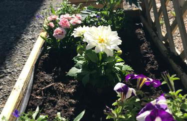 Vue du Gar - Foto 36