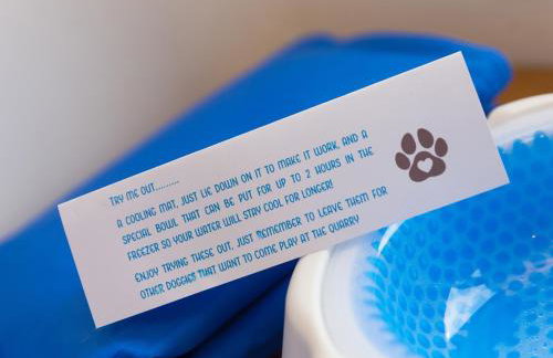 Tressa, Tor Down Quarry - Foto 18