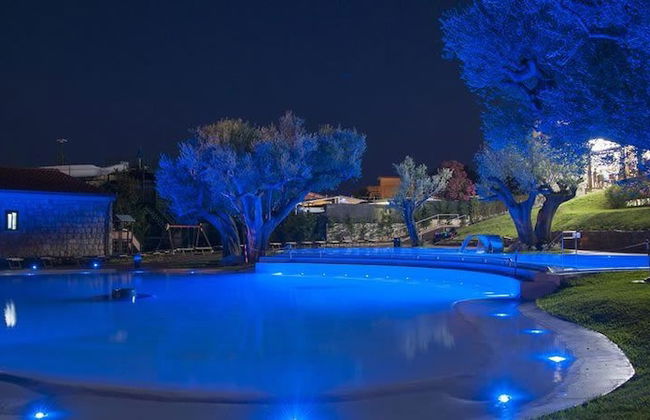 Blue Marine - Photo 1