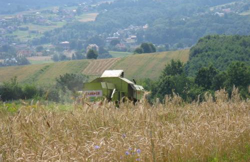 Agroturystyka Śliwkowy Sad - Foto 15