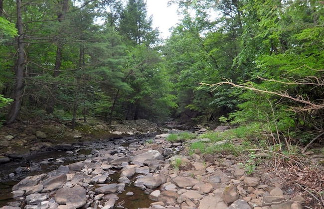 Rosies Creekside Retreat - 3 BR Escape! - Foto 42