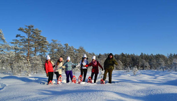 Paisagens nevadas de Tallinn