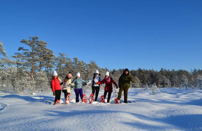 Tallinn Snowshoe Hiking Tour - Foto 4