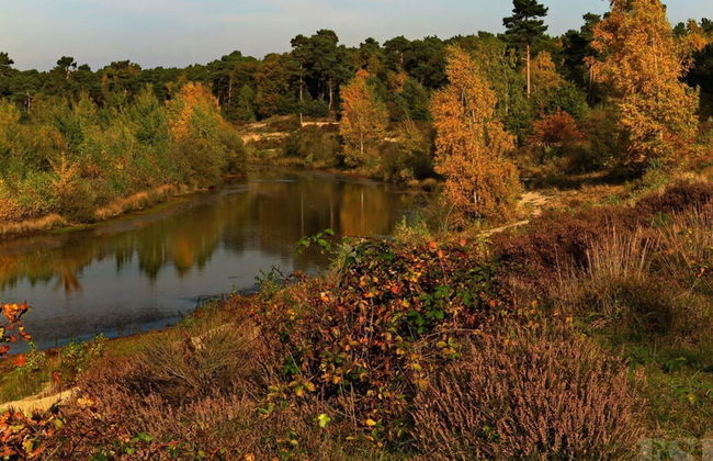 Holiday Apartment Alleblas - Foto 13