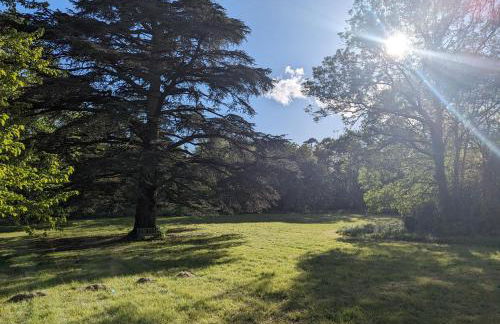 Chateau de Thuries - Foto 22