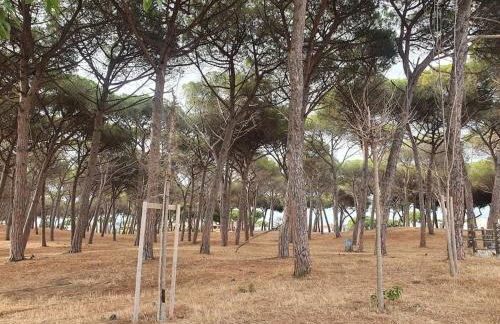 ççç Holiday Properties Le Vele ççç - Foto 76