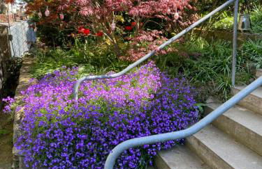 Apartment am HohenRand Dresden Leubnitz - Foto 12