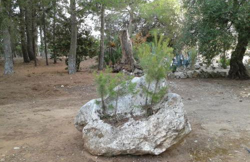 Tenuta La Spezia - Foto 50