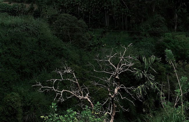 Ella Retreat Hotel - Photo 73