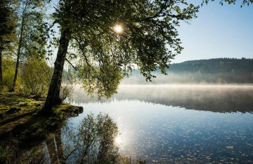 Ferienwohnung am Schwellenweiher - Foto 26