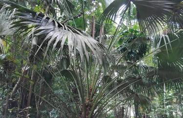 Campo e mar Bertioga - Foto 3