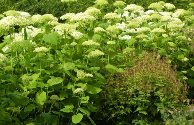 Mountain Apartment in Ehrenberg - Foto 19