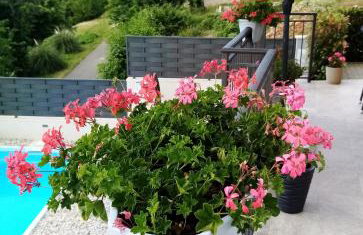 Apartment Ivy2 - Foto 34