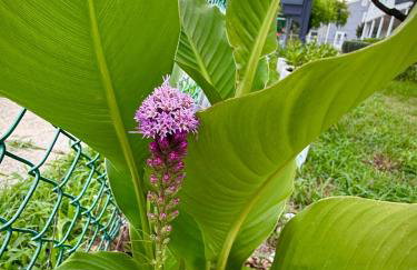 Cozy & Comfy Bright 3 Bedroom Home - Foto 49