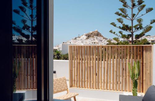 Sohoro Olive - Foto 37