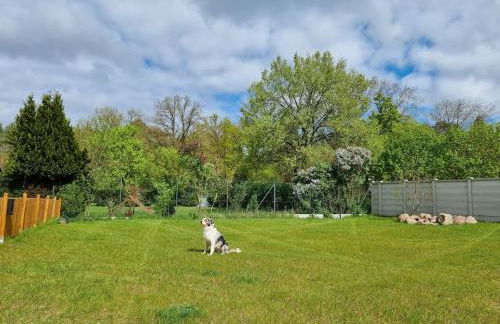 Glückseligkeit am Waldesrand - Foto 15