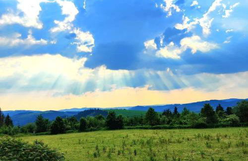 Gruppenhaus Haus BerchStein - Foto 46