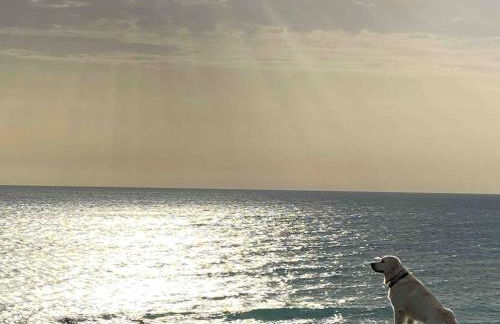 Casa 77, la playa más bonita a 150 metros - Foto 44