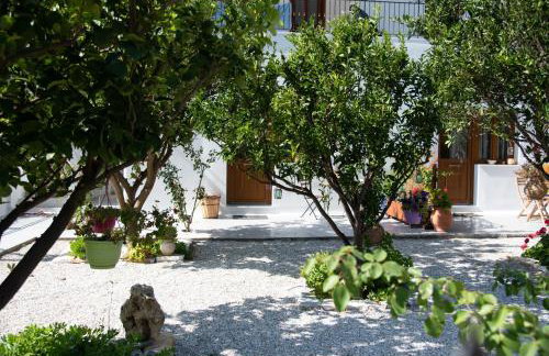 Dreamcatcher of Zeus - Foto 57