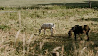 Pärchen Auszeit am Rande der Heide Constantia Apartment - Foto 3