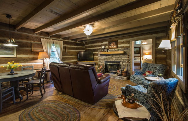 Lake Santeetlah Log Cabin - Foto 8