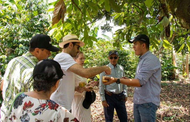 Tour do cacau pela fazenda El Argel - Foto 2
