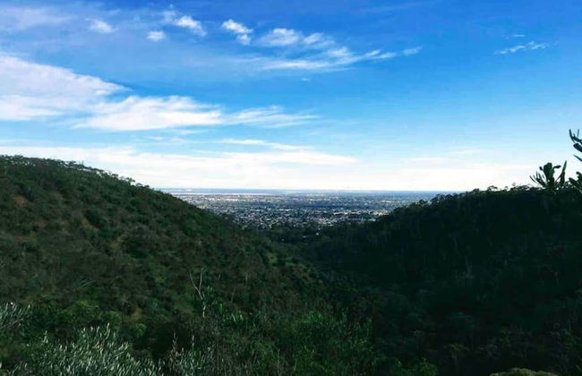 Dishwasher A C Dryer Campbelltown Courtyard East - Foto 21