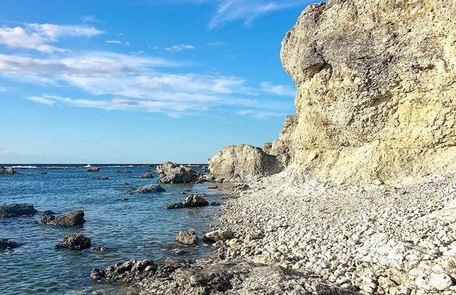 4 Person Holiday Home in Gotlands.tofta - Photo 51