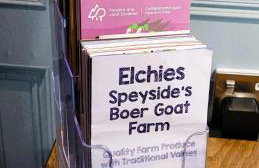 Bespoke Luxury Self Catering Dog Friendly Accommodation - Foto 19