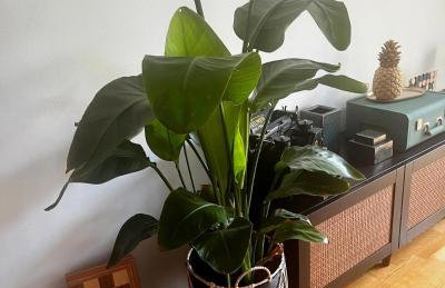 AllgäuLoft im Sennhof - Photo 5