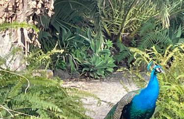 Casas La Principal - Foto 10