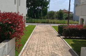 Cozy Nights - Foto 25