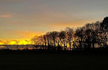 Briary Cottages at Iletts Farm - Photo 17