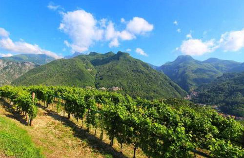 CASA SILVANA - Foto 14