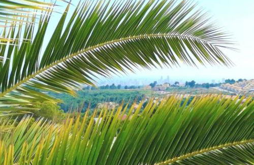 Casa Julia with swimming pool - Photo 15