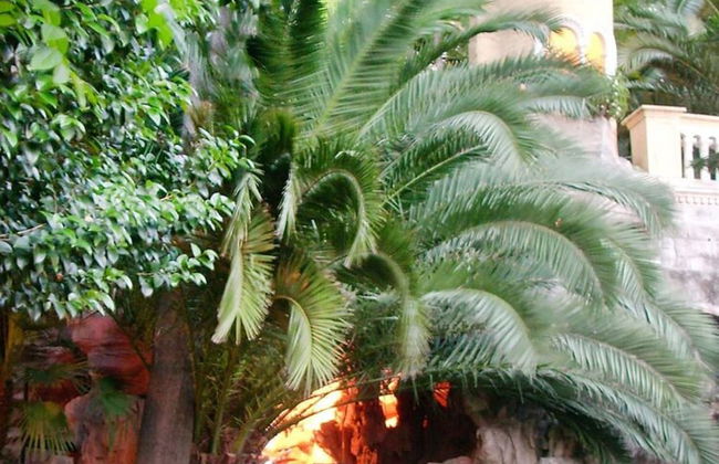 Apartment in Imperia Near the sea - Foto 12