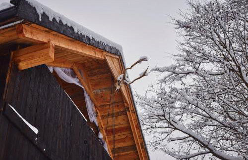 Dębinówka - Foto 40