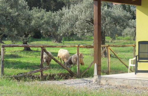 Holiday home Stella di Sicilia - Foto 12