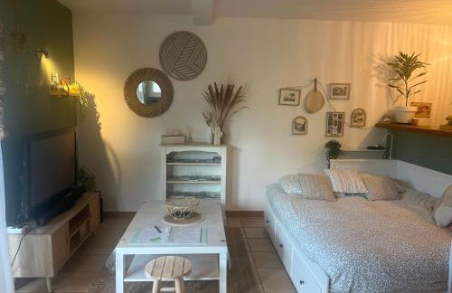 Grand studio neuf en rez de jardin avec terrasse - Foto 2