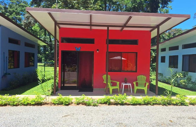 Caribbean Blue Morpho - Foto 11