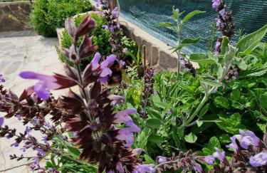 Villa Quattro Archi - Foto 64