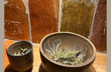 MarVivo Villa - Rez de Jardin - Plage 3' à pied - Foto 25