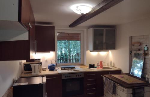 Kolorowe Wzgórze agroturystyka i konie - Foto 10