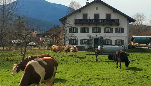 Biohof Dimper - HühnerNest - Foto 2